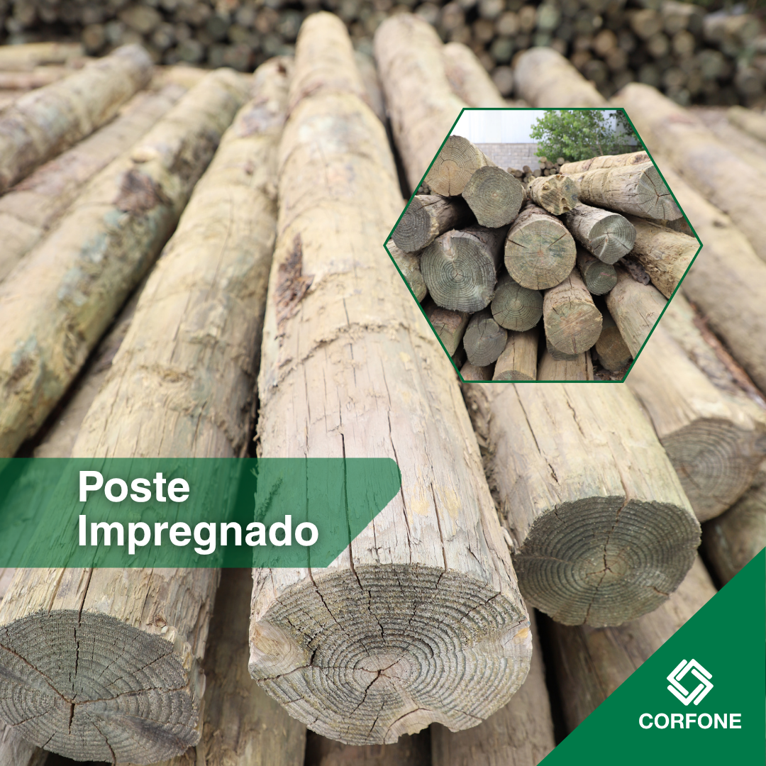 Poste Impregnado