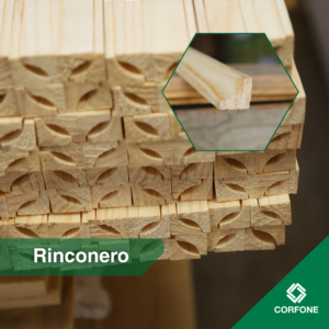 Rinconero