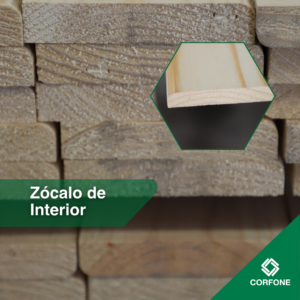 Zocalo Interior