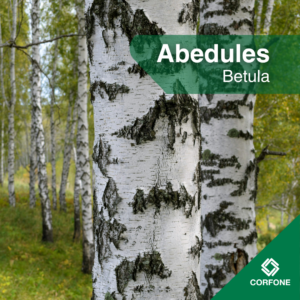 Abedules