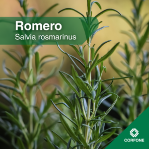 Romero